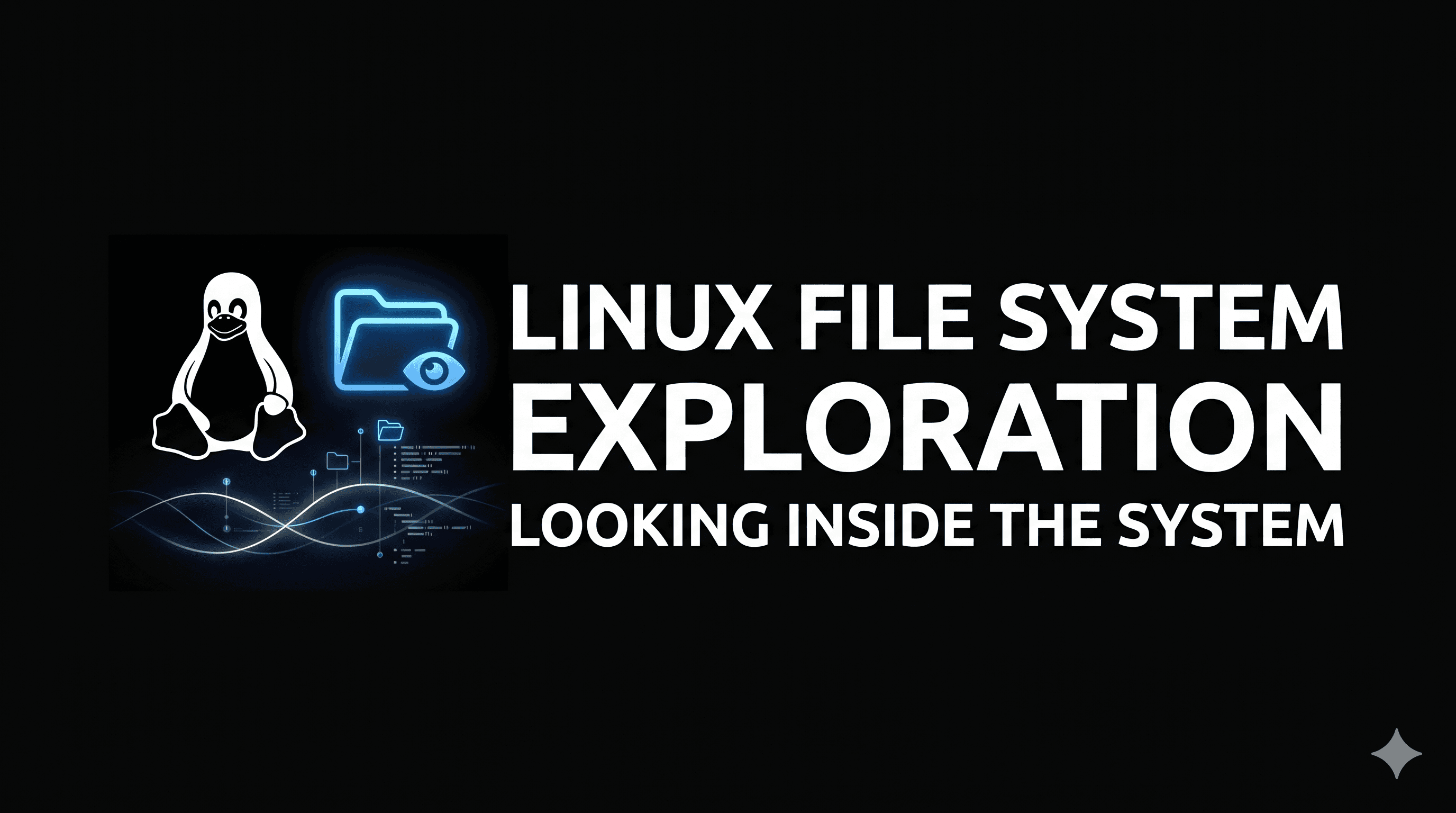 Linux File System Exploration Looking Inside the System